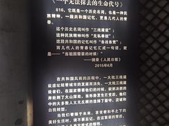 -816工程景区