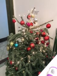 -苗方清颜·祛痘皮肤管理