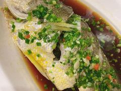 葱油东海大黄鱼-丰收日·小海鲜·沪上家宴(顾村正大店)