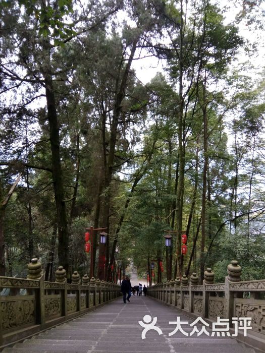 真佛山风景区图片 第21张