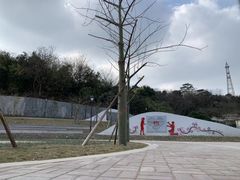 -佛山华盖山公园