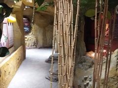 -MR.ZOO小小动物元室内动物园(沈阳沈河盛京中心)