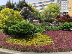 -常州古运河南大街文化旅游区-人民公园