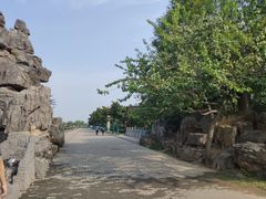 -洛阳市隋唐城遗址植物园