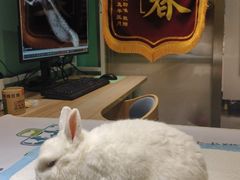 -雨林宠物医院 非犬猫异宠专科