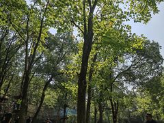 -WeLope紫金山探险公园