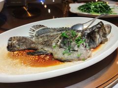 清蒸老虎斑-达叔香味海鲜(海棠68环球美食街店)