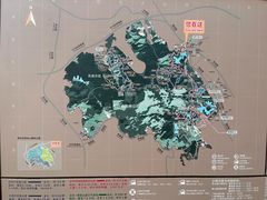 -阳台山森林公园