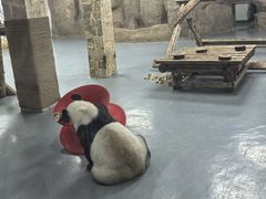 -无锡动物园·太湖欢乐园