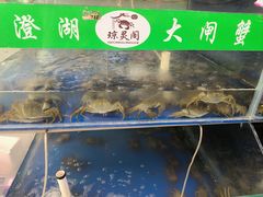 -阳澄湖大闸蟹·琼灵阁牌品牌连锁(吴中总店)