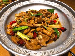 干锅肥肠护心肉-95号酱骨·一块豆腐(展春园西路店)