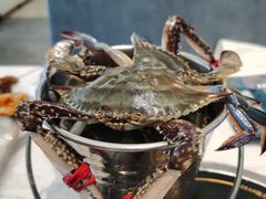 -半岛听涛蒸汽海鲜自助(K11店)