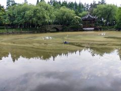-瀛洲公园