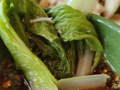 -润园四季椰子鸡火锅(海上世界店)