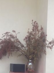 -和良形象