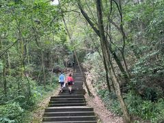 -凤栖山