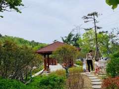 -北岭山森林公园