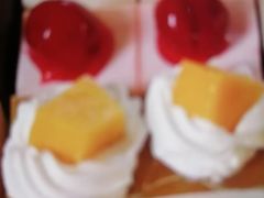 -维尔纳斯·生日蛋糕·动物奶油冰淇淋蛋糕(六里桥店)