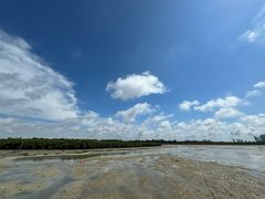 -北海金海湾红树林生态旅游区