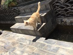 -炊烟餐厅