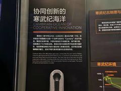 -贝林大翅鲸简餐厅(国家海洋博物馆店)