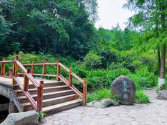 -重庆彩云湖湿地公园