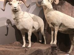 -陕西自然博物馆