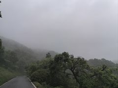 -南京老山国家森林公园