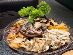 -一善菌·云南菌汤·云南菜(银泰城店)