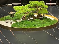 -宝燕壹号景观餐厅(龙盛国际商业广场店)