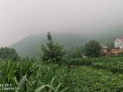 -灞河西岸滨河公园
