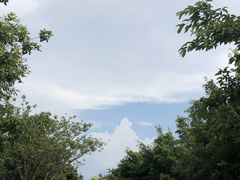 -西昌邛海湿地
