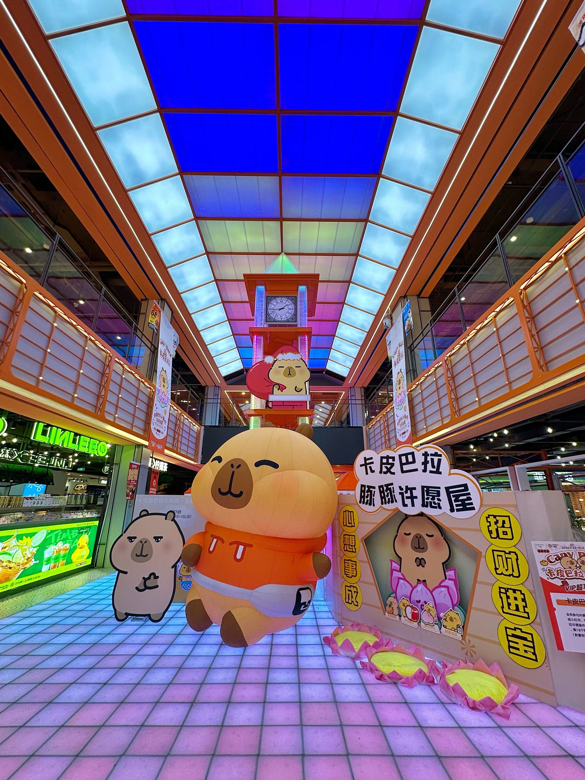 豚门集合❗️哈尔滨首家卡皮巴拉快闪店‼️