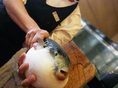 -天正河鲀·河豚亭(大连店)