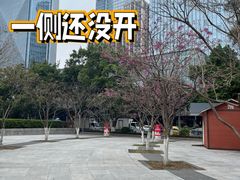 -天河体育中心