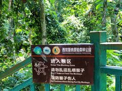 -西双版纳原始森林公园