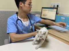 -谐和贝康宠物医院24小时·宠保定点(急重症转诊中心)