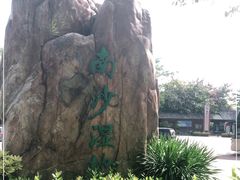 -大湾区中央湿地公园