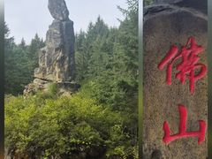-茅兰沟国家森林公园