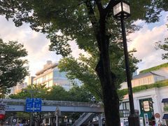 -涩谷区