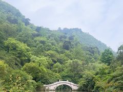 -黔灵山公园