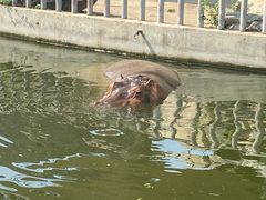 -北京海洋馆