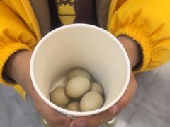 -美联众合爱康动物医院•复杂内科•肿瘤科•牙科•腔镜诊疗中心