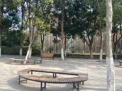 -合肥野生动物园