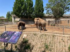 -石家庄市动物园