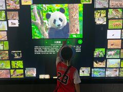 -四川大学博物馆