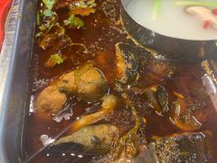 -新辣道鱼火锅(世纪金源购物中心店)