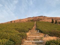 -东白山