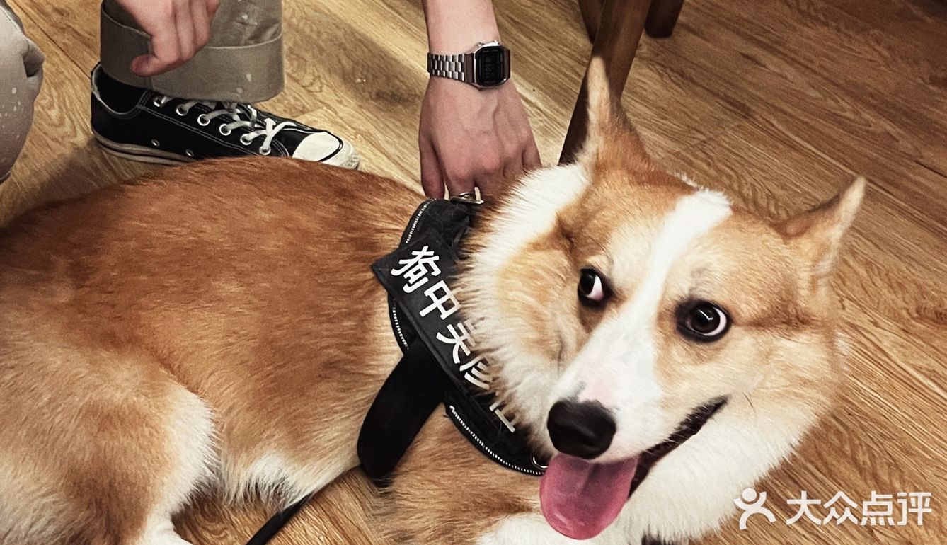 新店 | “板要咖啡”你们用无锡话读读看