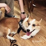 新店 | “板要咖啡”你们用无锡话读读看